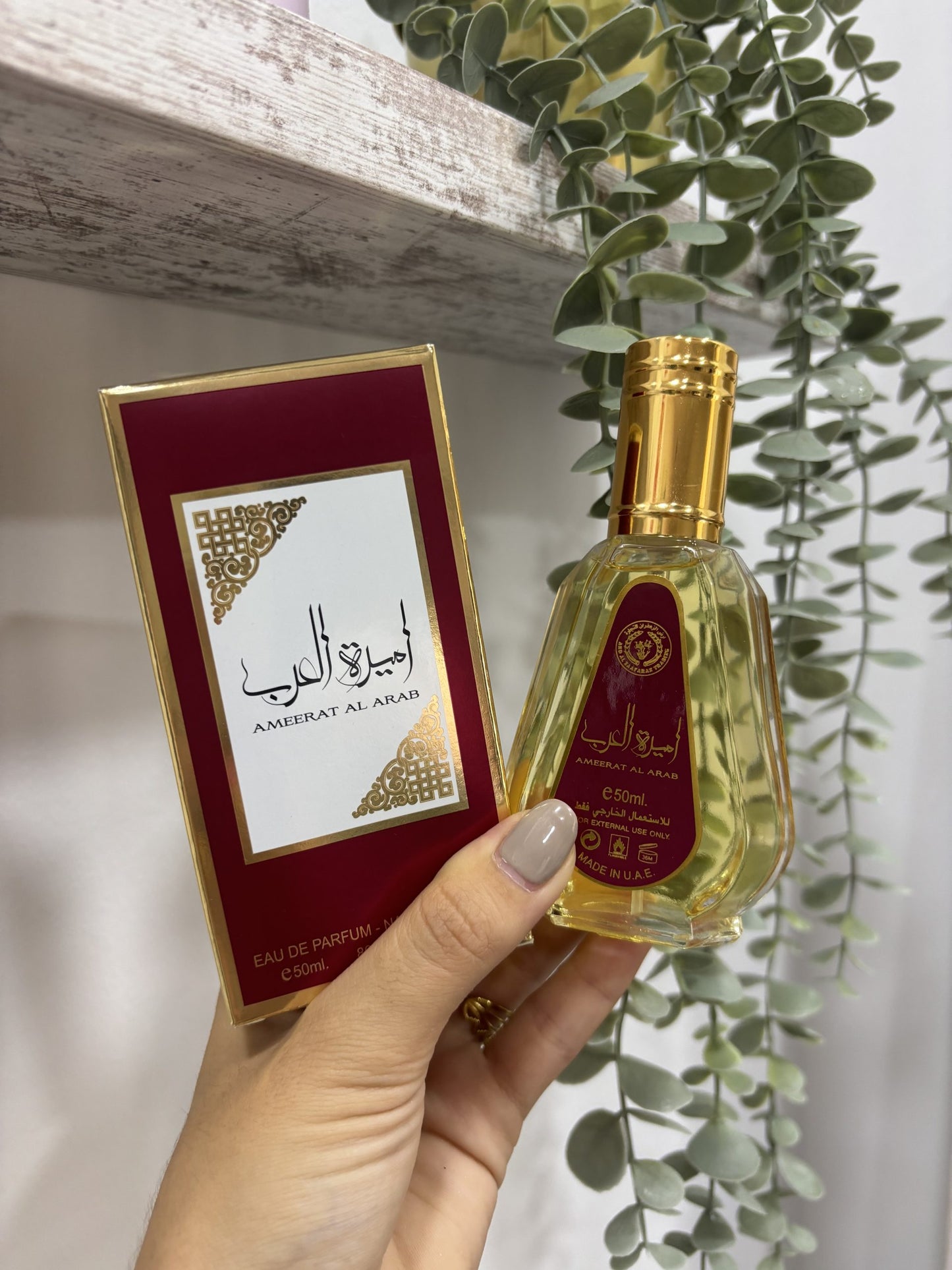 Mini ameerat al arab